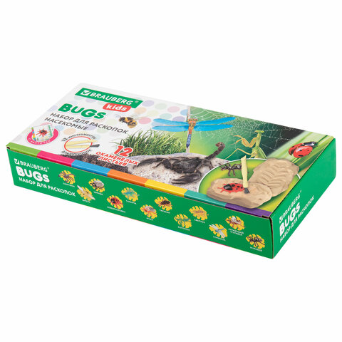 Набор для раскопок "Насекомые", 12 видов, карточки, инструменты,