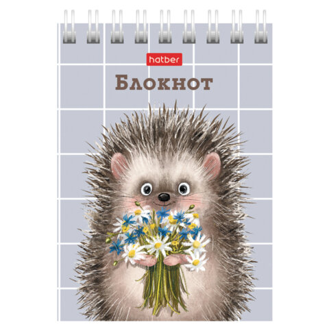 Блокнот МАЛЫЙ ФОРМАТ А7, 40 л., гребень, картон, клетка, HATBER, "Хорошо