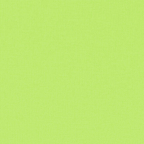 Цветная бумага ТИШЬЮ 17 г/м2, 50х66 см, 50 листов, салатовый цвет, ЗОЛОТАЯ