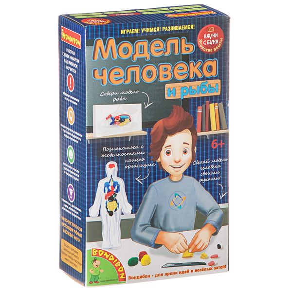 Японские опыты Науки с Буки BONDIBON, Модель человека, арт. 196408 Японские опыты Науки с Буки BONDIBON, Модель человека, арт. 196408