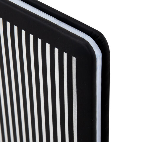 Дневник для музыкальной школы 170х215 мм, 48 л., обложка кожзам твердая, фольга,