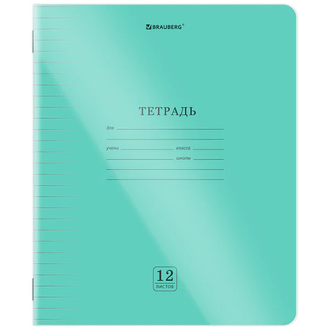 Тетрадь пластиковая обложка (прозрачная) 12 листов, линия, BRAUBERG "Smart
