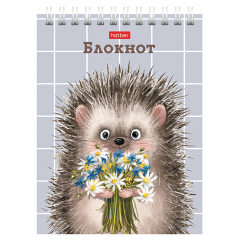 Блокнот МАЛЫЙ ФОРМАТ А6, 40 л., гребень, картон, клетка, HATBER, "Хорошо Блокнот МАЛЫЙ ФОРМАТ А6, 40 л., гребень, картон, клетка, HATBER, "Хорошо