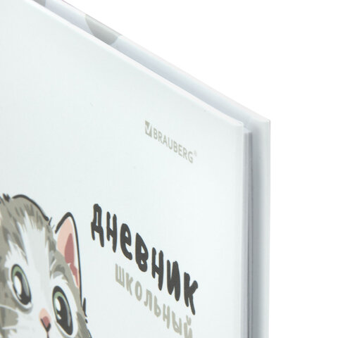 Дневник 1-11 класс 40 л., твердый, BRAUBERG, матовая ламинация,