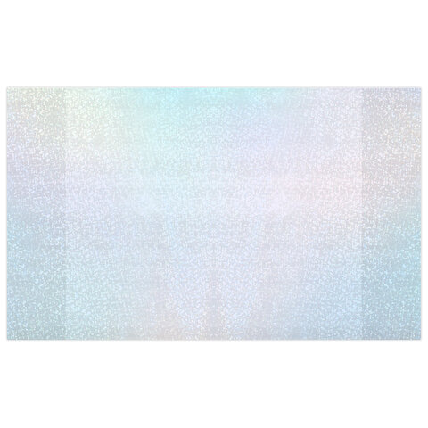 Обложки с ГОЛОГРАММОЙ для тетрадей и дневников, КОМПЛЕКТ 5 шт., ПЛОТНЫЕ, 100