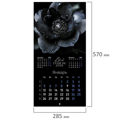 Календарь настенный перекидной 2026 г., BRAUBERG, 12 листов, 28,5х28,5 см,