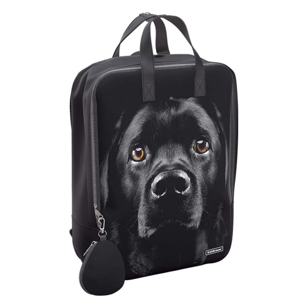Рюкзак ErichKrause StreetLine 16L Black Dog Рюкзак ErichKrause StreetLine 16L Black Dog