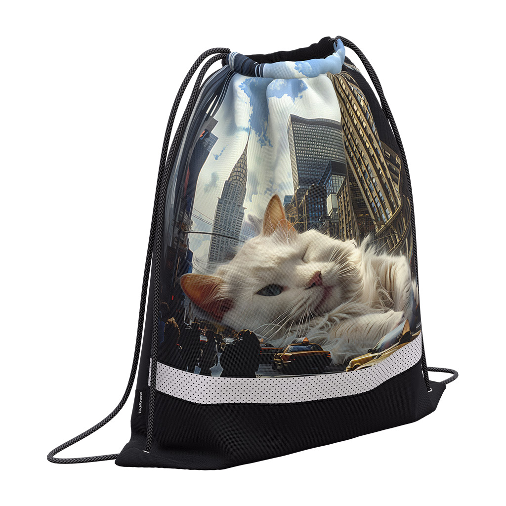 Мешок для обуви ErichKrause с вентиляцией 500x410мм Big City Cats Мешок для обуви ErichKrause с вентиляцией 500x410мм Big City Cats