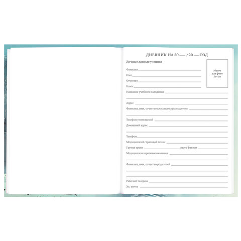 Дневник 5-11 класс 48 л., твердый, BRAUBERG, глянцевая ламинация, с подсказом,