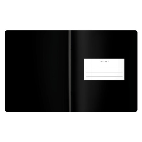 Тетрадь предметная BLACK MODE 48 л., пластиковая обложка, ИНФОРМАТИКА, клетка, Тетрадь предметная BLACK MODE 48 л., пластиковая обложка, ИНФОРМАТИКА, клетка,