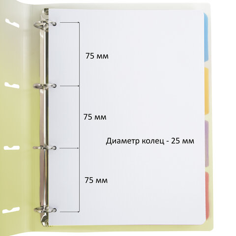 Тетрадь на кольцах БОЛЬШАЯ 305х230мм А4, 120л, пластик, с разделителями, Тетрадь на кольцах БОЛЬШАЯ 305х230мм А4, 120л, пластик, с разделителями,
