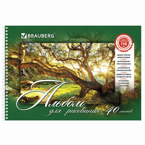 Альбом для рисования, А4, 40 листов, гребень, обложка картон, BRAUBERG, 205х290 Альбом для рисования, А4, 40 листов, гребень, обложка картон, BRAUBERG, 205х290