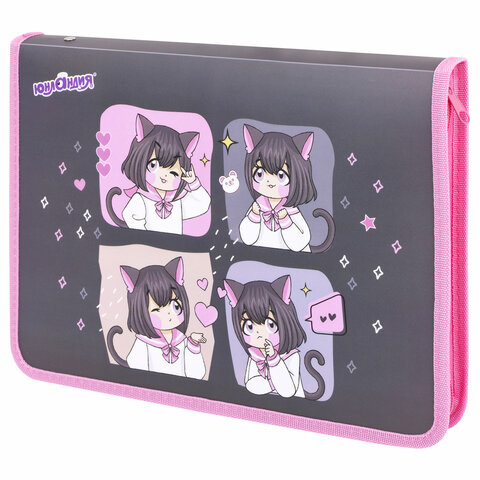 Папка для труда на молнии ЮНЛАНДИЯ А4, 1 отделение, откидная планка, органайзер, Папка для труда на молнии ЮНЛАНДИЯ А4, 1 отделение, откидная планка, органайзер,