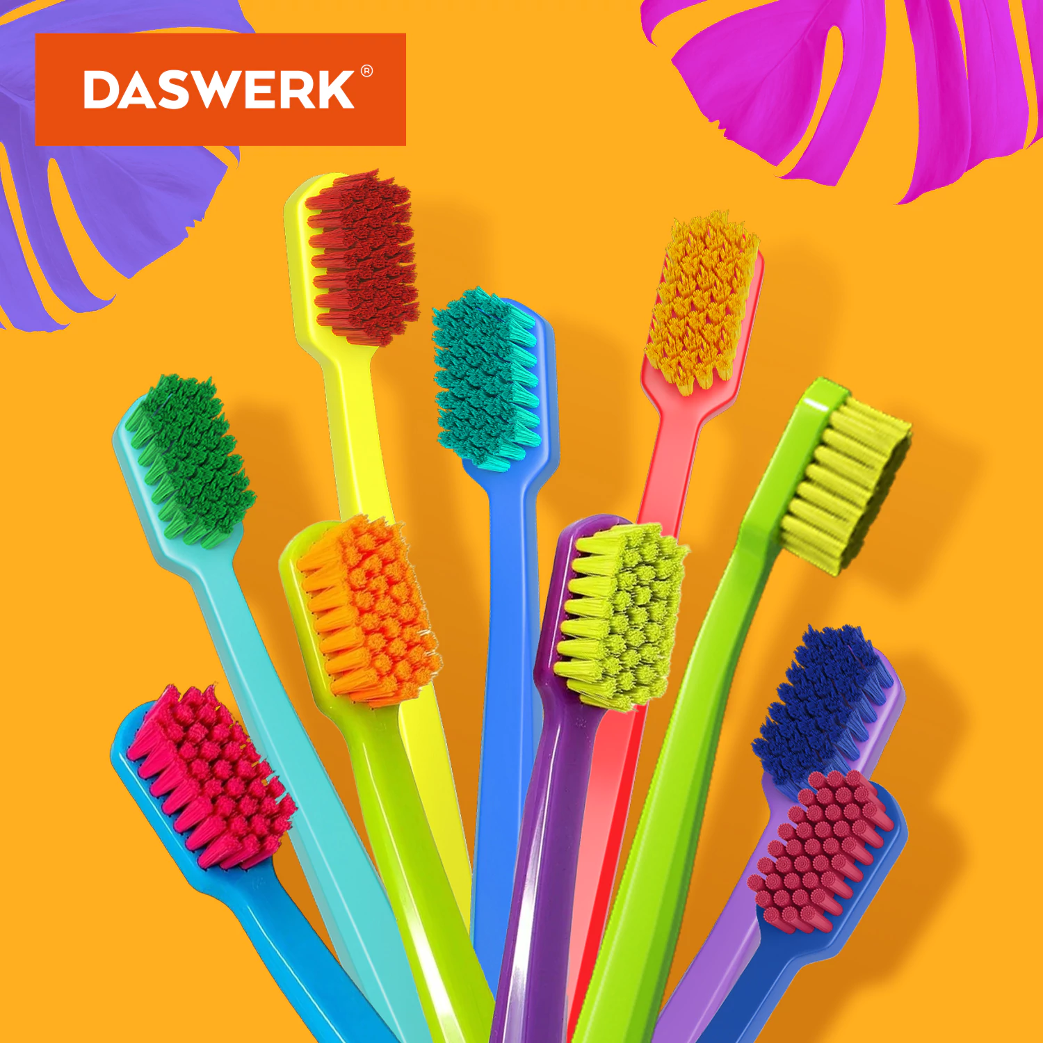 Зубные щетки, набор 10 штук, СРЕДНЕ-МЯГКИЕ (MEDIUM SOFT), DASWERK (ДАСВЕРК), Зубные щетки, набор 10 штук, СРЕДНЕ-МЯГКИЕ (MEDIUM SOFT), DASWERK (ДАСВЕРК),