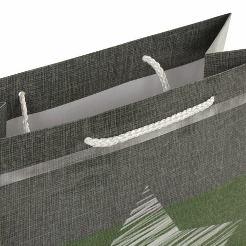 Пакет подарочный 26x12,7x32,4 см, ЗОЛОТАЯ СКАЗКА "Звезда", Пакет подарочный 26x12,7x32,4 см, ЗОЛОТАЯ СКАЗКА "Звезда",