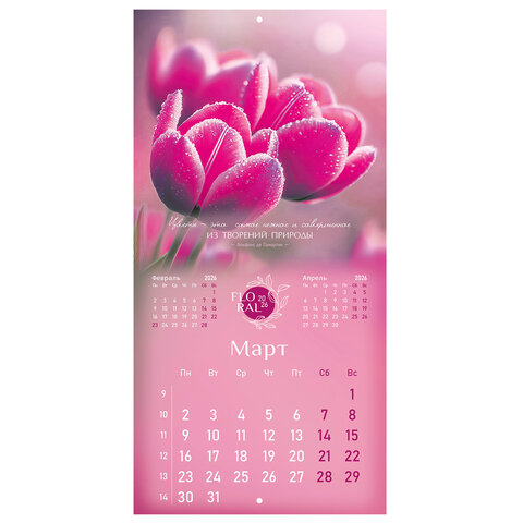 Календарь настенный перекидной 2026 г., BRAUBERG, 12 листов, 28,5х28,5 см, Календарь настенный перекидной 2026 г., BRAUBERG, 12 листов, 28,5х28,5 см,