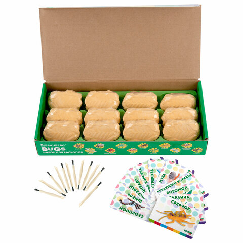 Набор для раскопок "Насекомые", 12 видов, карточки, инструменты,