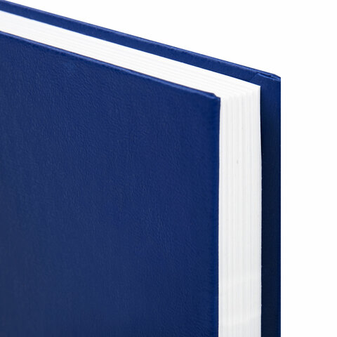 Ежедневник BRAUBERG недатированный, А5, 145х215 мм, 160 л., обложка бумвинил, Ежедневник BRAUBERG недатированный, А5, 145х215 мм, 160 л., обложка бумвинил,