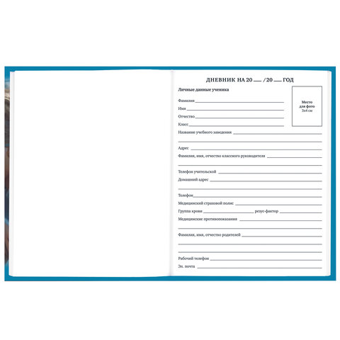 Дневник 1-11 класс 40 л., твердый, BRAUBERG, глянцевая ламинация, "Девушка