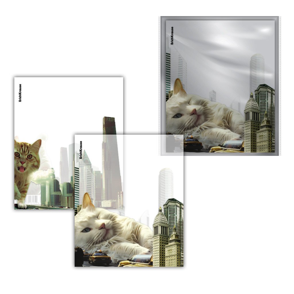 Набор пластиковых обложек ErichKrause Big City Cats, для тетрадей и дневников, Набор пластиковых обложек ErichKrause Big City Cats, для тетрадей и дневников,