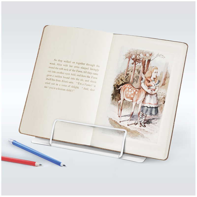 Подставка для книг Мульти-Пульти "Лисенок", регулируемый угол наклона, Подставка для книг Мульти-Пульти "Лисенок", регулируемый угол наклона,