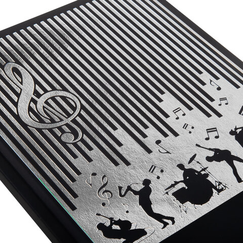 Дневник для музыкальной школы 170х215 мм, 48 л., обложка кожзам твердая, фольга,