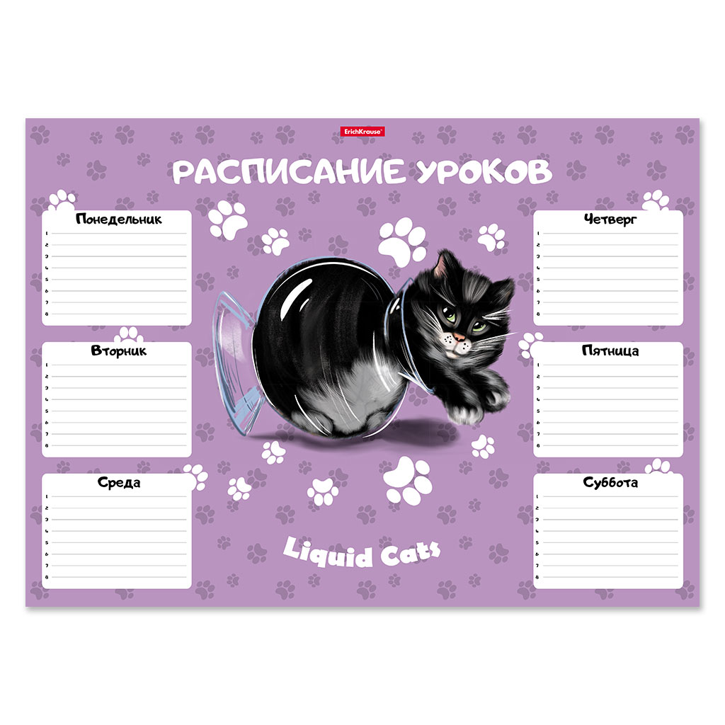 Расписание уроков ErichKrause® Жидкие коты, А3 Расписание уроков ErichKrause® Жидкие коты, А3