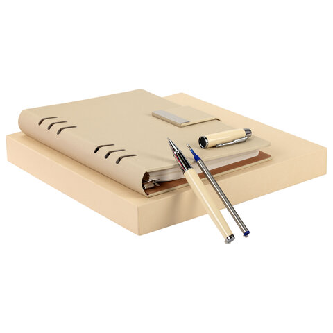 Ежедневник на кольцах в наборе с ручкой А5, 165x229 мм, BRAUBERG