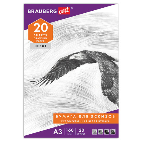 Папка для рисования БОЛЬШОГО ФОРМАТА А3, 20 л., 160 г/м2, BRAUBERG, 297х420 мм, Папка для рисования БОЛЬШОГО ФОРМАТА А3, 20 л., 160 г/м2, BRAUBERG, 297х420 мм,