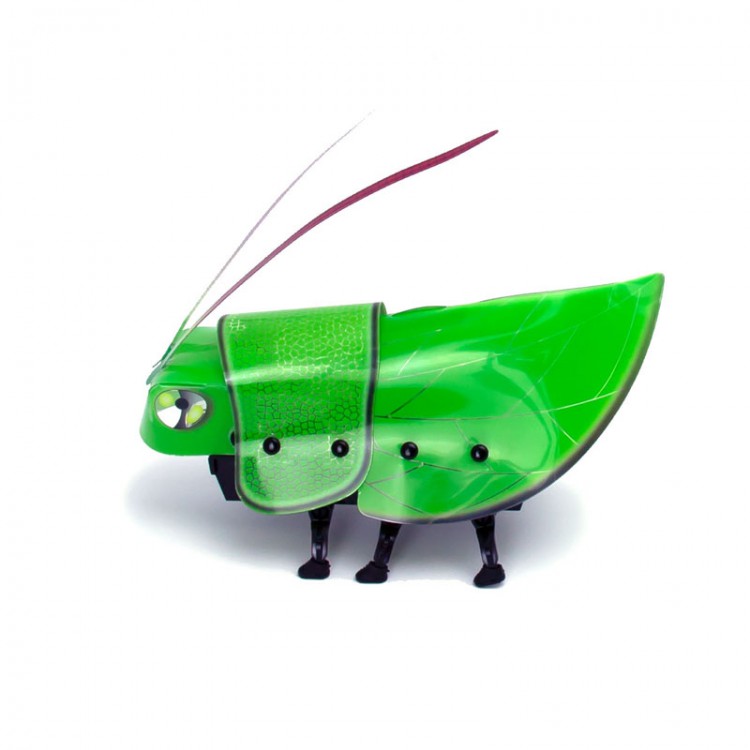 Конструктор Робот-Сверчок Конструктор Робот-Сверчок