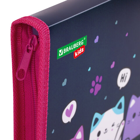 Папка для тетрадей BRAUBERG KIDS А5, 1 отделение, пластик, молния вокруг,