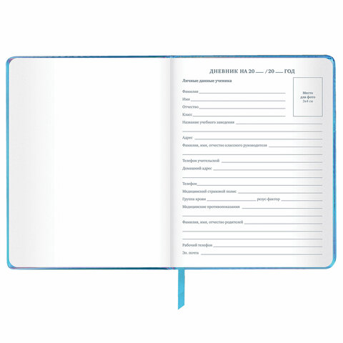 Дневник 1-11 класс 48 л., кожзам (твердая с поролоном), фольга, BRAUBERG Дневник 1-11 класс 48 л., кожзам (твердая с поролоном), фольга, BRAUBERG