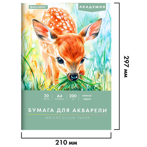 Папка для акварели А4, 20 л., 200 г/м2, 210х297 мм, BRAUBERG АКАДЕМИЯ,