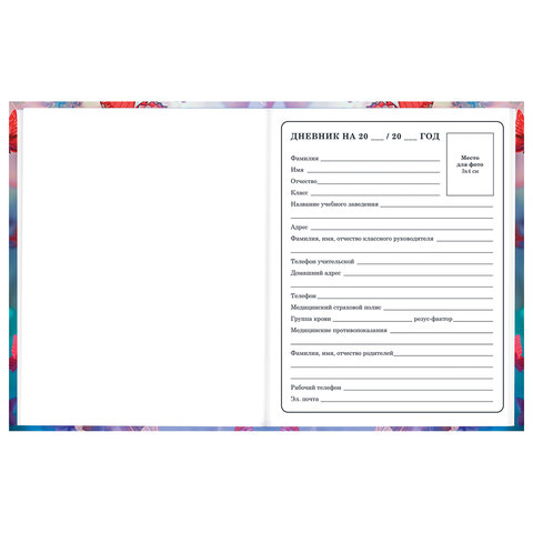 Дневник 1-4 класс 48 л., твердый, BRAUBERG, глянцевая ламинация, с подсказом,