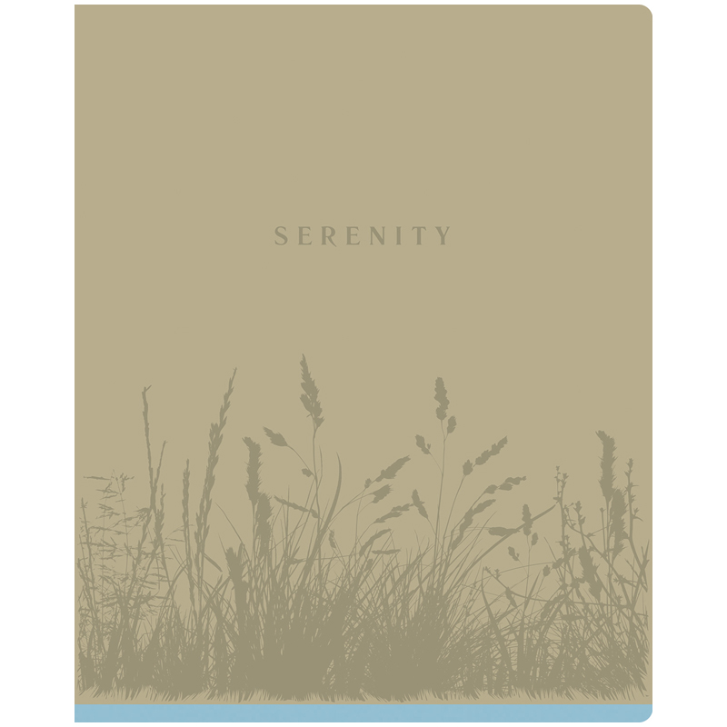 Тетрадь 48л., А5, клетка BG "Monocolor. Serenity", выб. лак