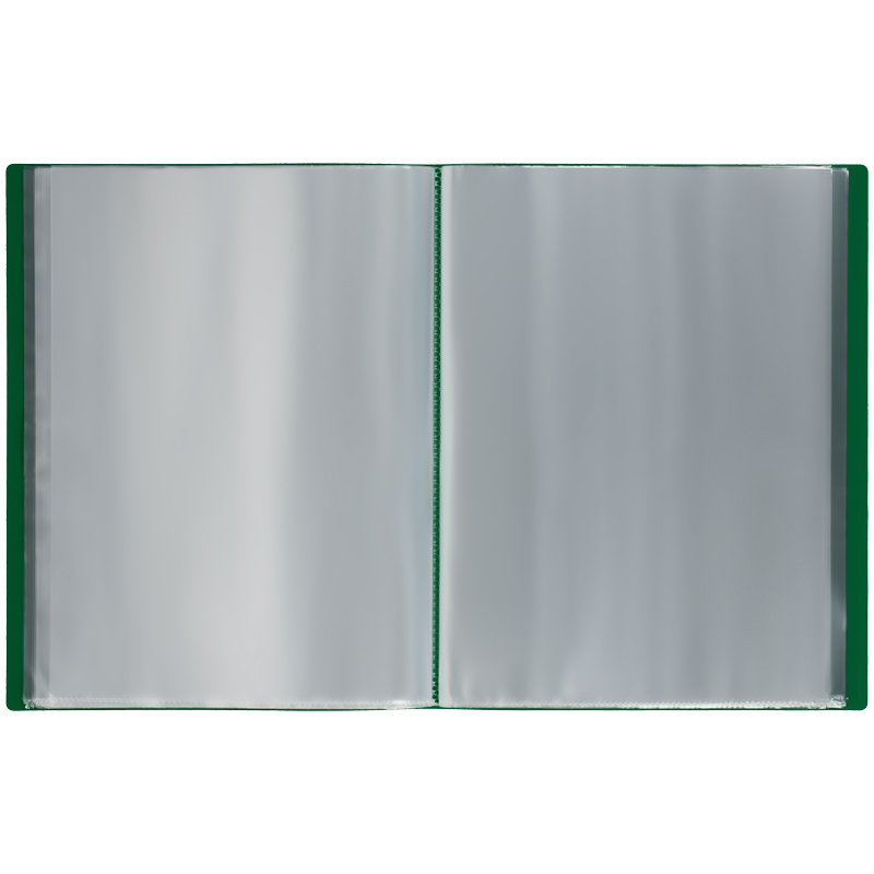 Папка с 80 вкладышами СТАММ, 30мм, 600мкм, зеленая Папка с 80 вкладышами СТАММ, 30мм, 600мкм, зеленая