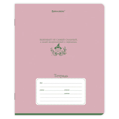 Тетради ДЭК 12 л., КОМПЛЕКТ 10 шт., BRAUBERG, косая линия, обложка картон,