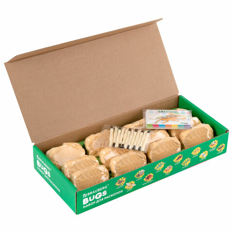 Набор для раскопок "Насекомые", 12 видов, карточки, инструменты,