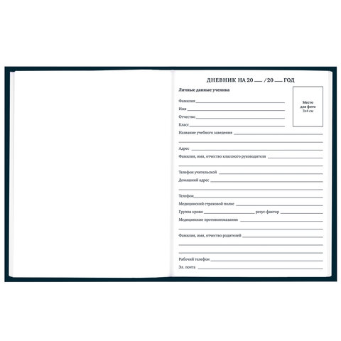 Дневник 1-11 класс 40 л., твердый, BRAUBERG, матовая ламинация,