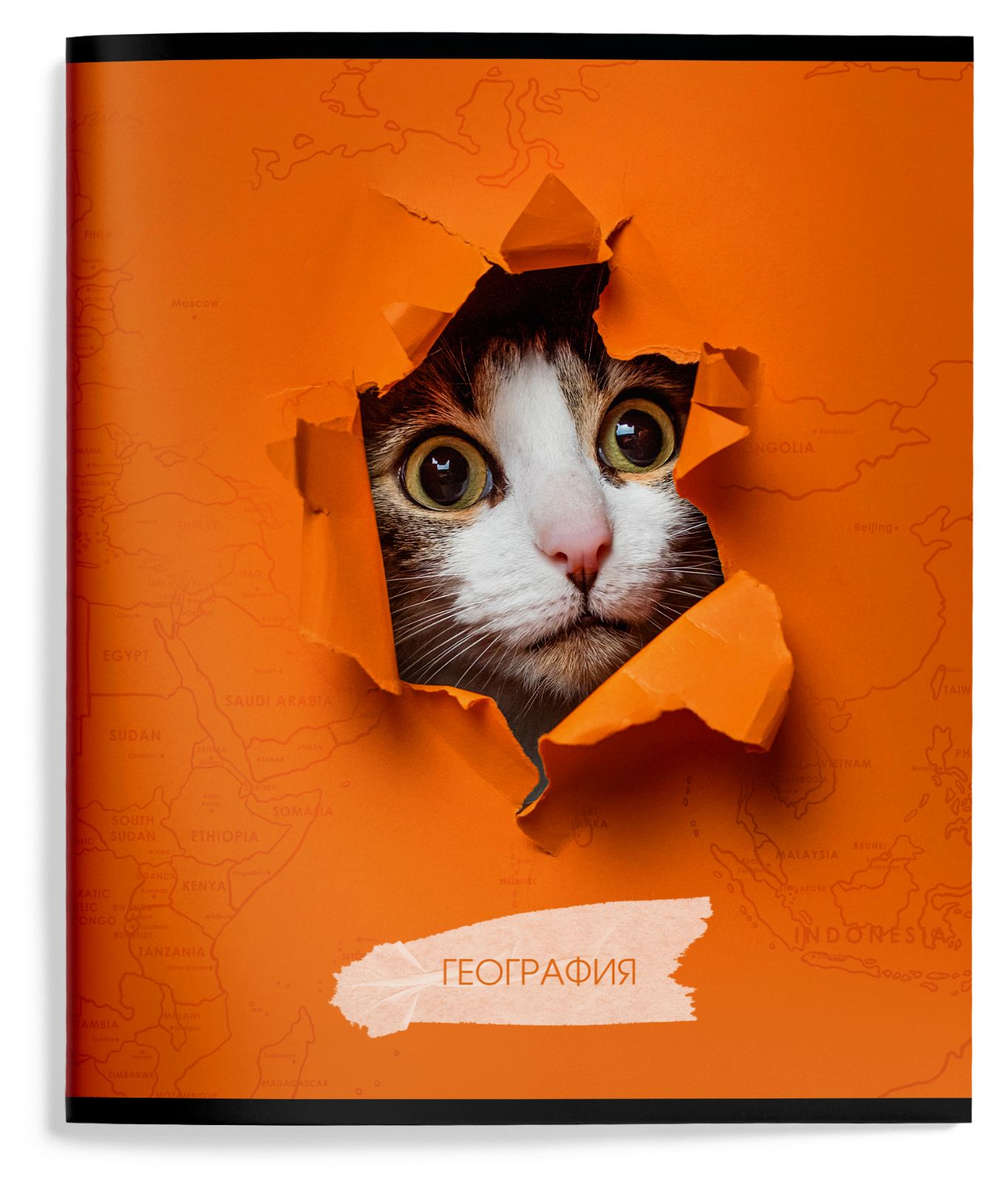Тетрадь 48 л. А5 кл. скреп. Schoolformat ЛЮБОПЫТНЫЙ КОТИК География мел. карт., Тетрадь 48 л. А5 кл. скреп. Schoolformat ЛЮБОПЫТНЫЙ КОТИК География мел. карт.,