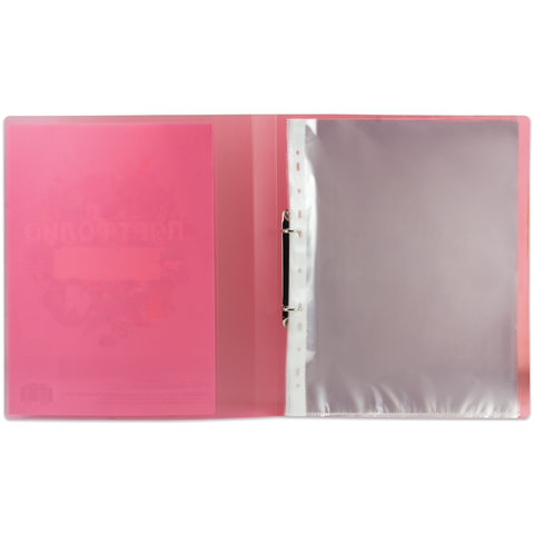 Папка для портфолио школьника, 2 кольца, 20 файлов, пластик полупрозрачный, Папка для портфолио школьника, 2 кольца, 20 файлов, пластик полупрозрачный,