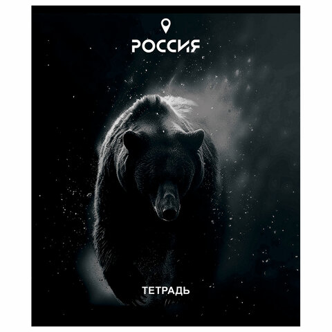 Тетрадь А5 48л. ПЗБМ скоба, клетка, Soft Touch, брайль, Место Силы (микс в Тетрадь А5 48л. ПЗБМ скоба, клетка, Soft Touch, брайль, Место Силы (микс в