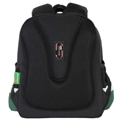 Ранец BRAUBERG KIDS STANDARD, 2 отделения, "Зеленый город", 36х28х14 Ранец BRAUBERG KIDS STANDARD, 2 отделения, "Зеленый город", 36х28х14