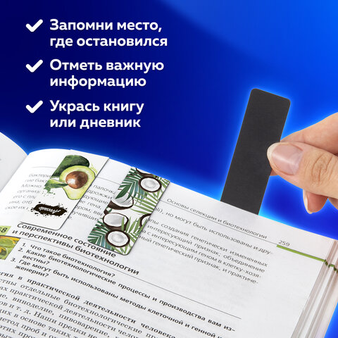 Закладки для книг МАГНИТНЫЕ, "FRUITS", набор 12 шт., 60x20 мм, Закладки для книг МАГНИТНЫЕ, "FRUITS", набор 12 шт., 60x20 мм,