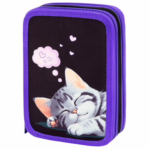 Пенал BRAUBERG, 3 отделения, полиэстер, 21х14 см, "Sleeping kitten", Пенал BRAUBERG, 3 отделения, полиэстер, 21х14 см, "Sleeping kitten",