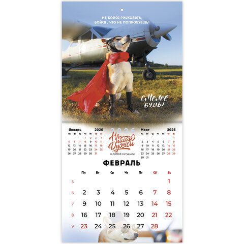 Календарь настенный перекидной 2026 г., BRAUBERG, 12 листов, 21,4х21,4 см, МИНИ, Календарь настенный перекидной 2026 г., BRAUBERG, 12 листов, 21,4х21,4 см, МИНИ,