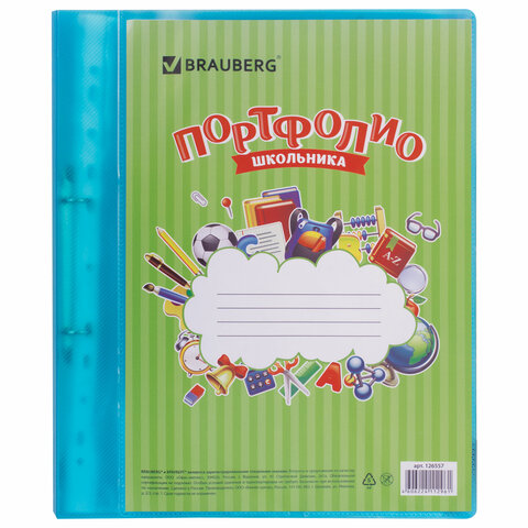 Папка для портфолио школьника, 2 кольца, 20 файлов, пластик, полупрозрачный, Папка для портфолио школьника, 2 кольца, 20 файлов, пластик, полупрозрачный,