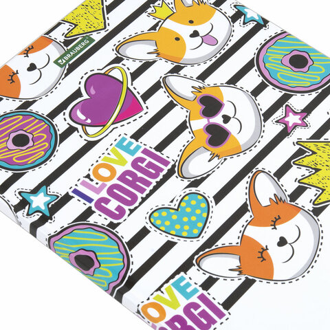 Дневник 1-11 класс 40 л., твердый, BRAUBERG, глянцевая ламинация, Дневник 1-11 класс 40 л., твердый, BRAUBERG, глянцевая ламинация,