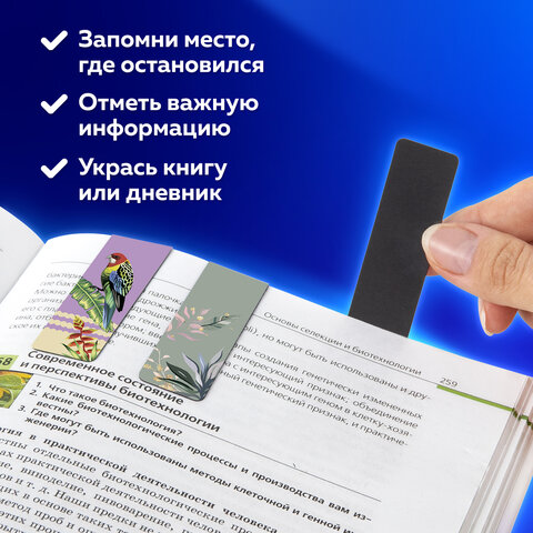 Закладки для книг МАГНИТНЫЕ, "TROPICS", набор 12 шт., 60x20 мм, Закладки для книг МАГНИТНЫЕ, "TROPICS", набор 12 шт., 60x20 мм,