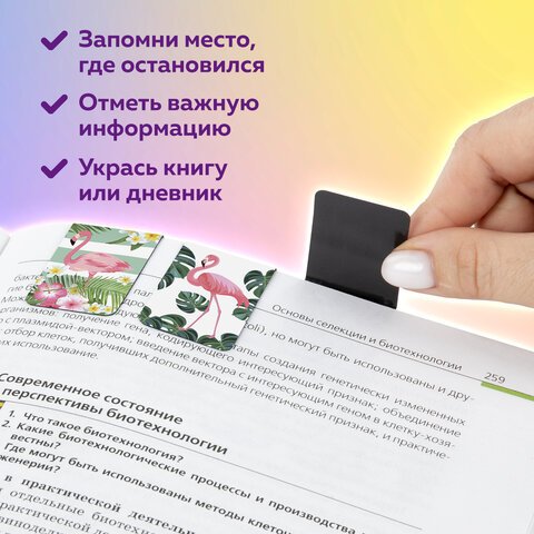 Закладки для книг МАГНИТНЫЕ, "FLAMINGO", набор 6 шт., 35x25 мм, Закладки для книг МАГНИТНЫЕ, "FLAMINGO", набор 6 шт., 35x25 мм,